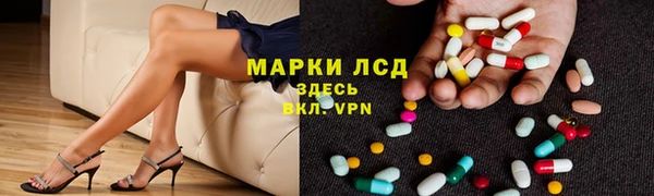 тгк Алзамай
